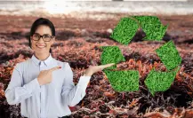 5 formas de aprovechar el sargazo que afecta la Península de Yucatán
