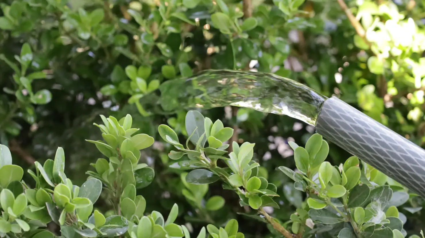 Aguas de Saltillo trabaja en la creación de un procedimiento para aplicar multas por mal uso del agua potable. (Fotografías: Édgar Romero)