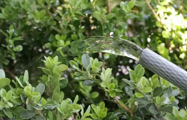 ¿Se puede multar a ciudadanos en Saltillo por desperdiciar agua? Esto dice Agsal