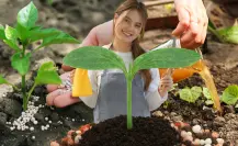 3 productos que tienes en casa y sirven como fertilizante casero