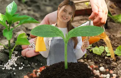 3 productos que tienes en casa y sirven como fertilizante casero