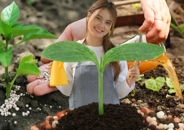 3 productos que tienes en casa y sirven como fertilizante casero