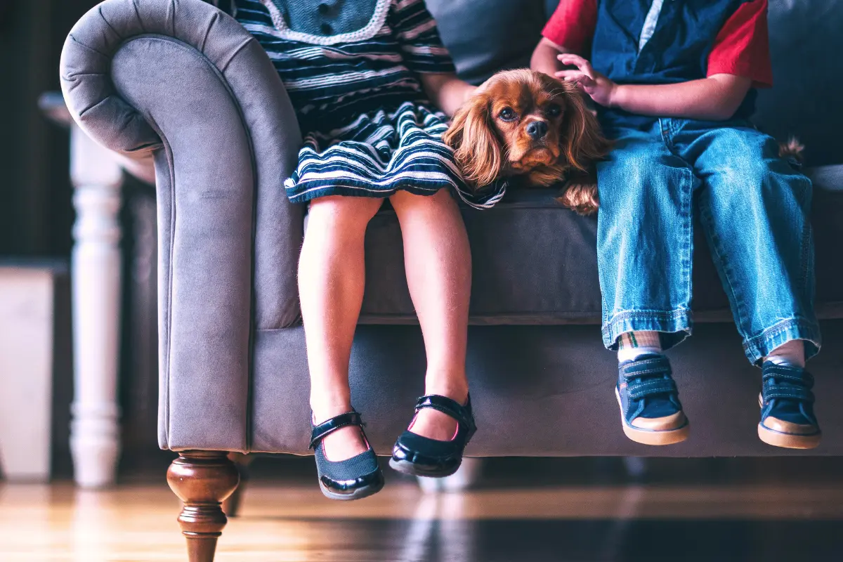 Elegir un perro adecuado es fundamental para garantizar la felicidad de los niños y el bienestar de las mascotas. Foto: Canva