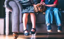 5 razas de perros con las que tus hijos tendrán un vínculo especial
