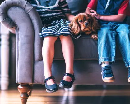 5 razas de perros con las que tus hijos tendrán un vínculo especial