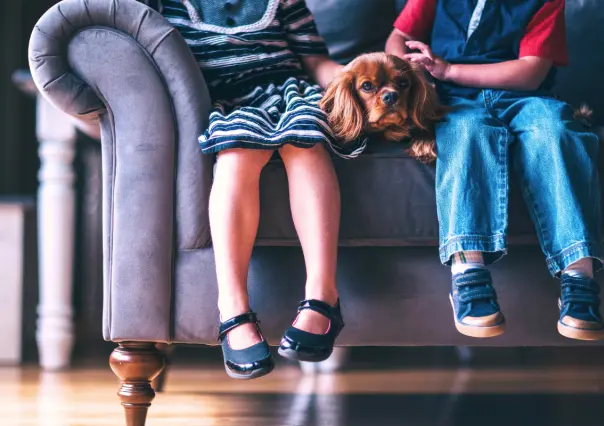 5 razas de perros con las que tus hijos tendrán un vínculo especial