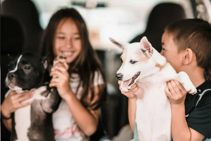 Adoptar un perro puede ser un valioso aprendizaje sobre el cuidado y respeto de los animales desde la infancia. Foto: Canva