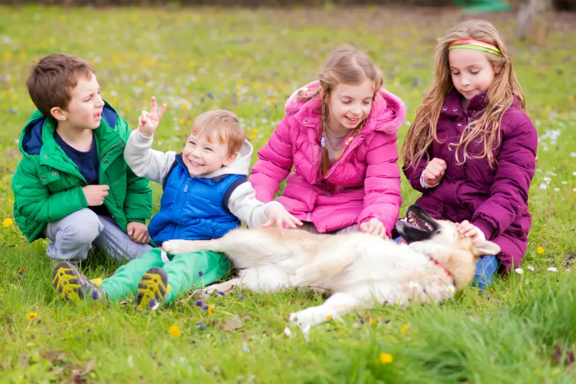 Elegir un perro adecuado es fundamental para garantizar la felicidad de los niños y el bienestar de las mascotas. Foto: Canva