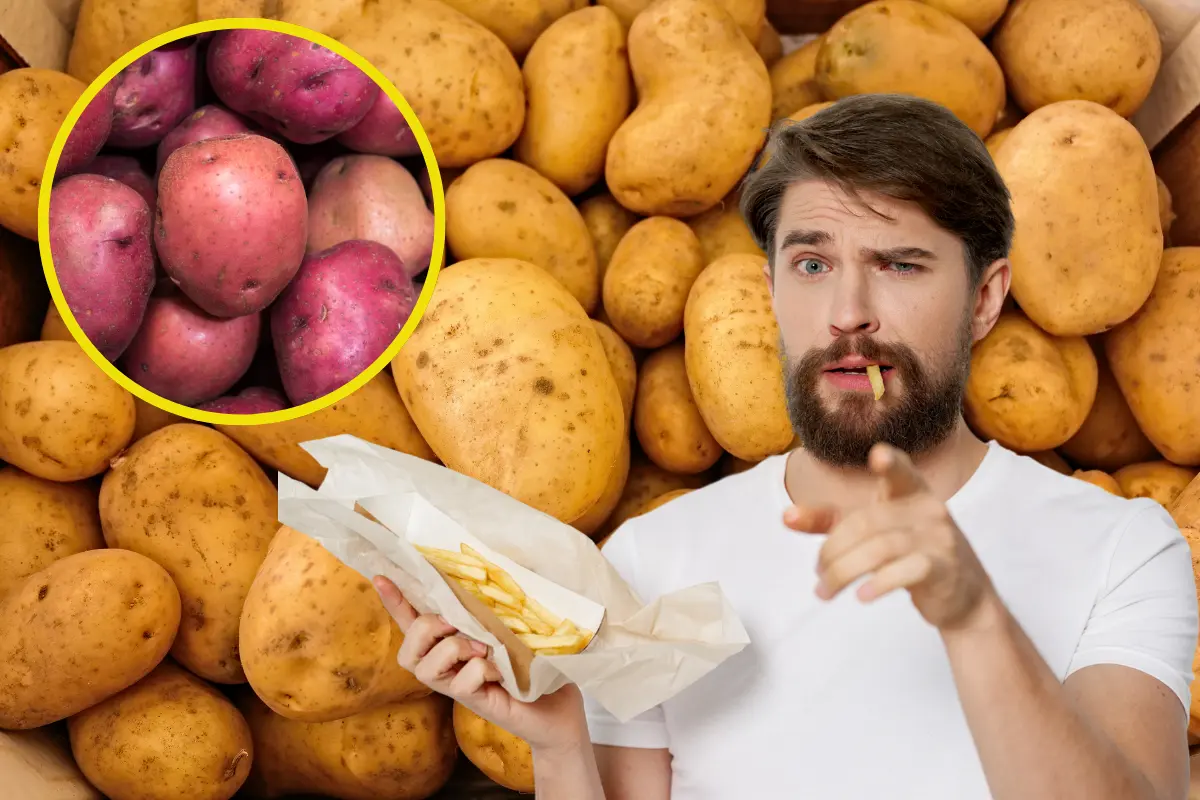 Los mexicanos consumen más de 16 kilogramos de papas por persona al año. Foto: Canva