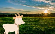 La planta nativa de Durango de la que aman alimentarse vacas y cabras