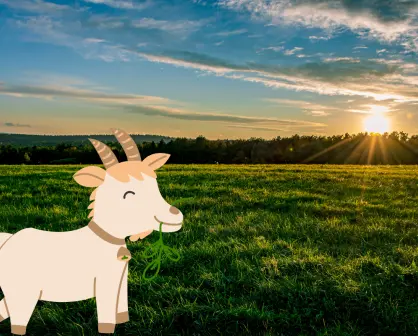 La planta nativa de Durango de la que aman alimentarse vacas y cabras