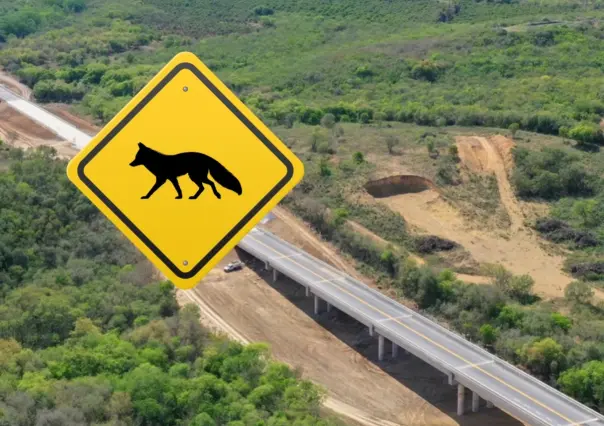 Esta es la fauna con la que convive el Nuevo Periférico en Nuevo León
