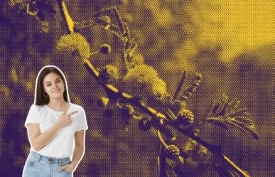 Este es el árbol nativo de Nuevo León que no rompe las banquetas y tiene flores amarillas