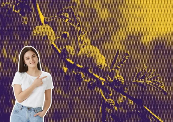 Este es el árbol nativo de Nuevo León que no rompe las banquetas y tiene flores amarillas