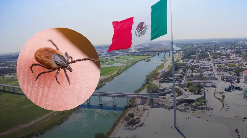 Rickettsiosis en Coahuila: Activan protocolo de salud en Piedras Negras 