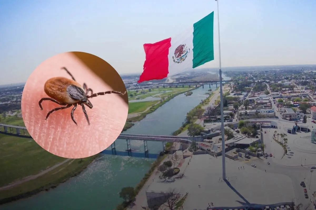 Alerta en Piedras Negras por presunto caso de rickettsiosis / Foto: Pro Wrestling | Canva