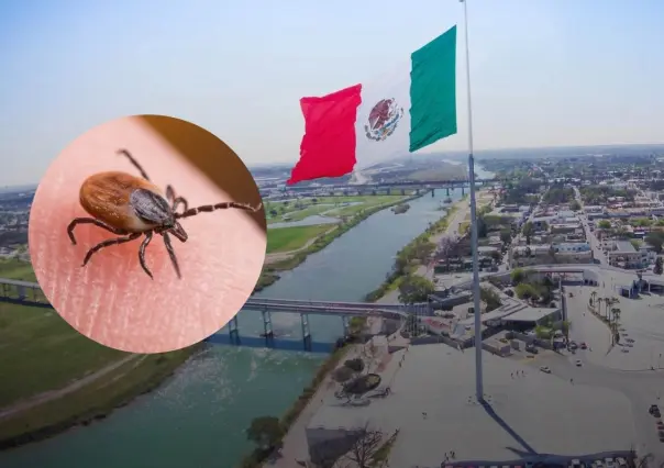 Rickettsiosis en Coahuila: Activan protocolo de salud en Piedras Negras 