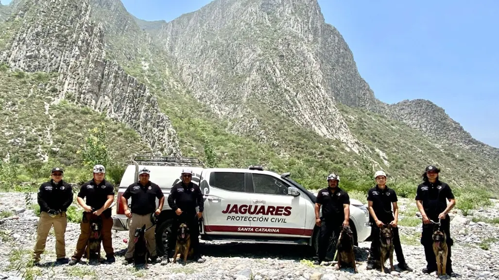Grupo de Rescate K9 de Santa Catarina recibe capacitación en búsqueda de desaparecidos