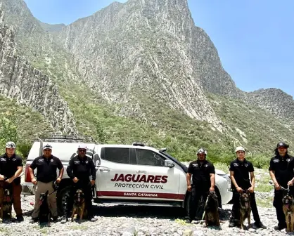 Grupo de Rescate K9 de Santa Catarina recibe capacitación en búsqueda de desaparecidos