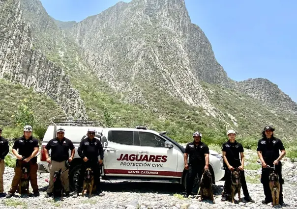 Grupo de Rescate K9 de Santa Catarina recibe capacitación en búsqueda de desaparecidos