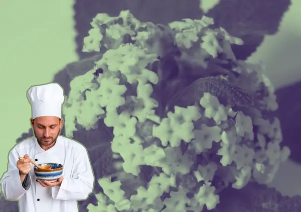 La planta nativa de Nuevo León que le da un toque especial a los alimentos