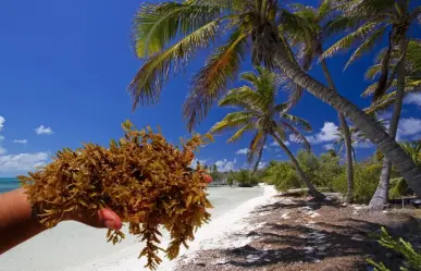 Islas de Quintana Roo con playas libres de sargazo que quizás no conocías