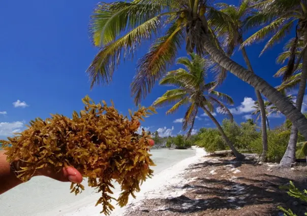 Islas de Quintana Roo con playas libres de sargazo que quizás no conocías
