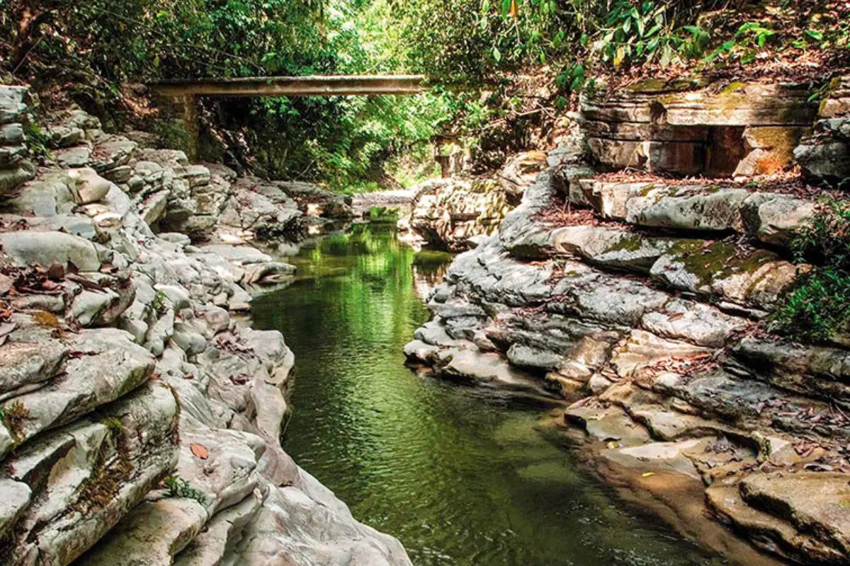 Cascadas del Salto en Zozocolco de Hidalgo, Veracruz. Foto: Gobierno de México