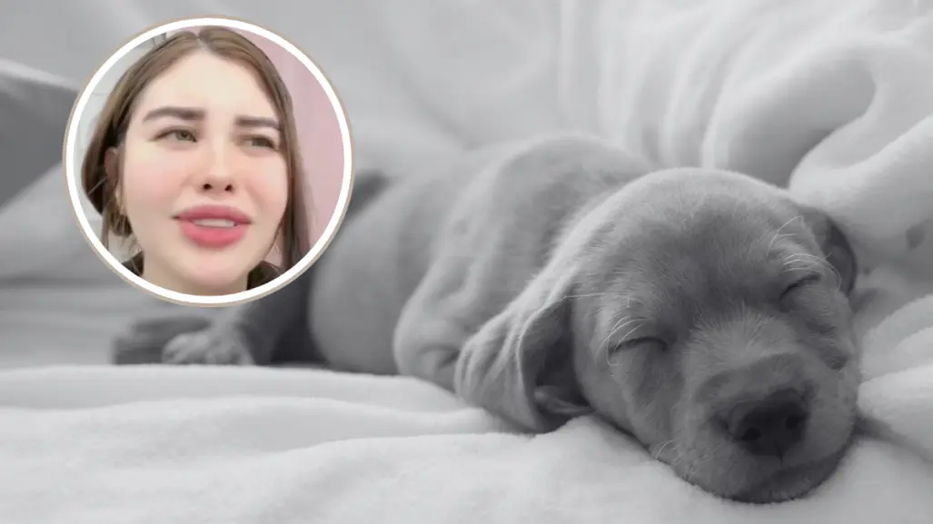 Exfuncionaria de Guadalajara confiesa en video el sacrificio de un perro