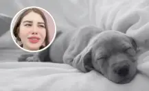Exfuncionaria de Guadalajara confiesa en video el sacrificio de un perro