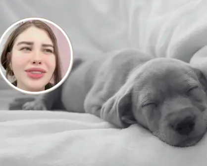 Exfuncionaria de Guadalajara confiesa en video el sacrificio de un perro