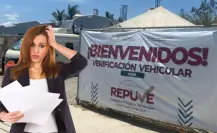 ¿Planeas regularizar tu carro? REPUVE hará una pausa y estas son las fechas