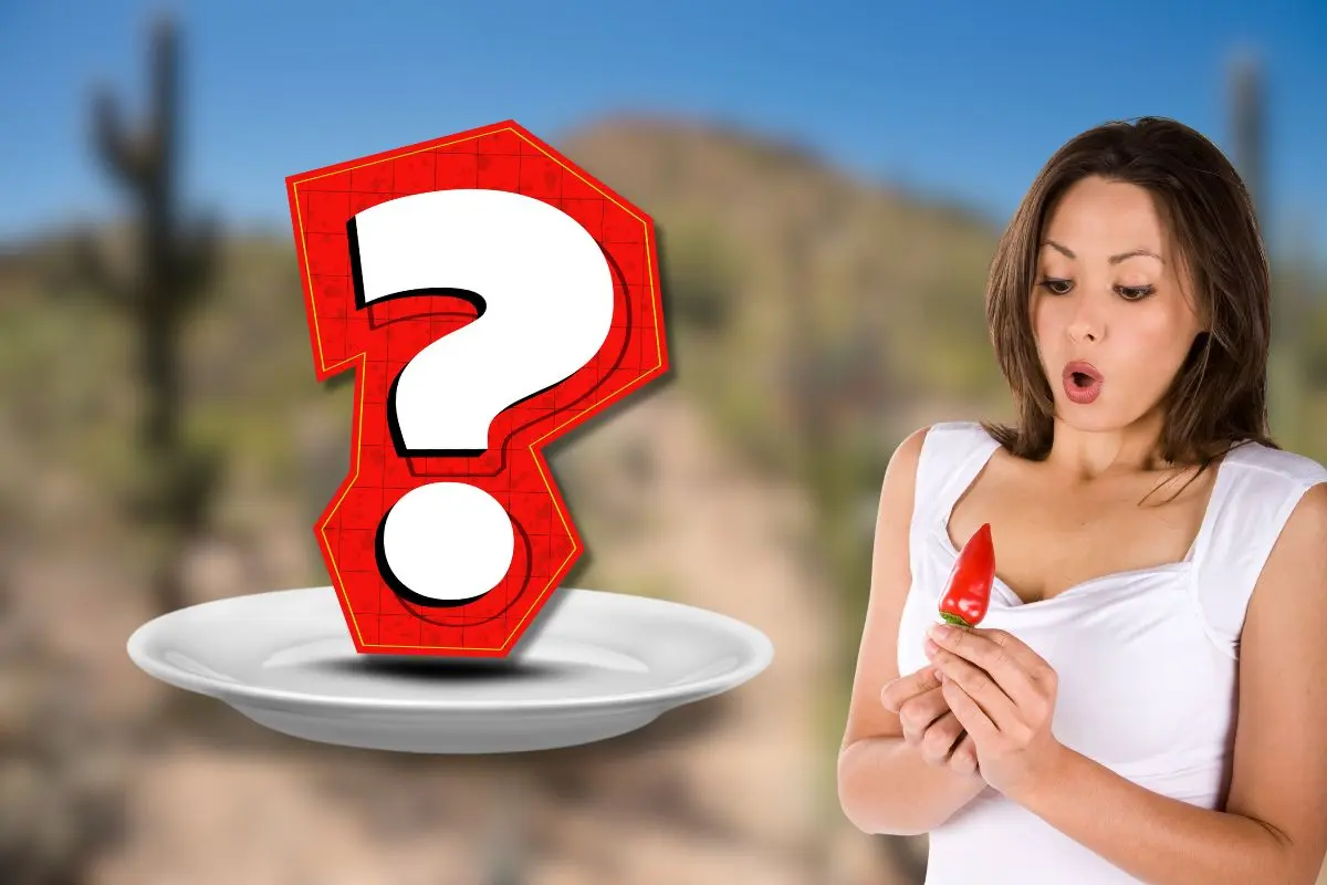 Este es el platillo típico más picante en Coahuila / Foto: Composición de Canva