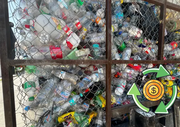 Estos son los materiales que más se usan para reciclaje en Durango 