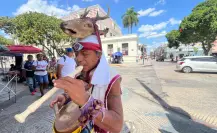 Rituales mayas: ceremonia ancestral cargada de simbolismo en el centro de Mérida