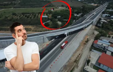 Nuevo Periférico, descubre los árboles nativos de Nuevo León que existen en sus alrededores