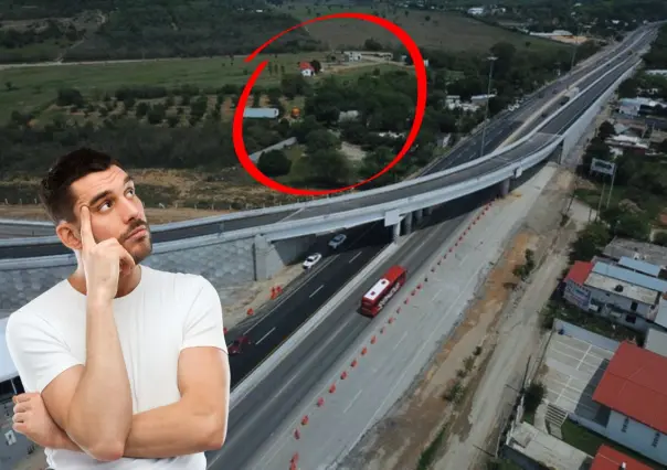 Nuevo Periférico, descubre los árboles nativos de Nuevo León que existen en sus alrededores