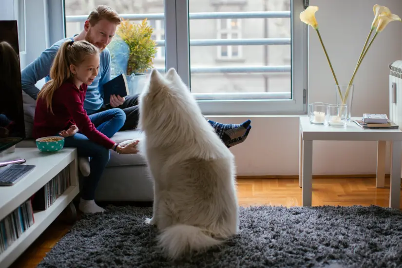 Muchos papás solteros buscan nuevas formas de fortalecer el vínculo con sus hijos y una mascota puede ser gran opción. Foto: Canva