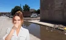 Estas colonias de Durango viven entre las aguas negras