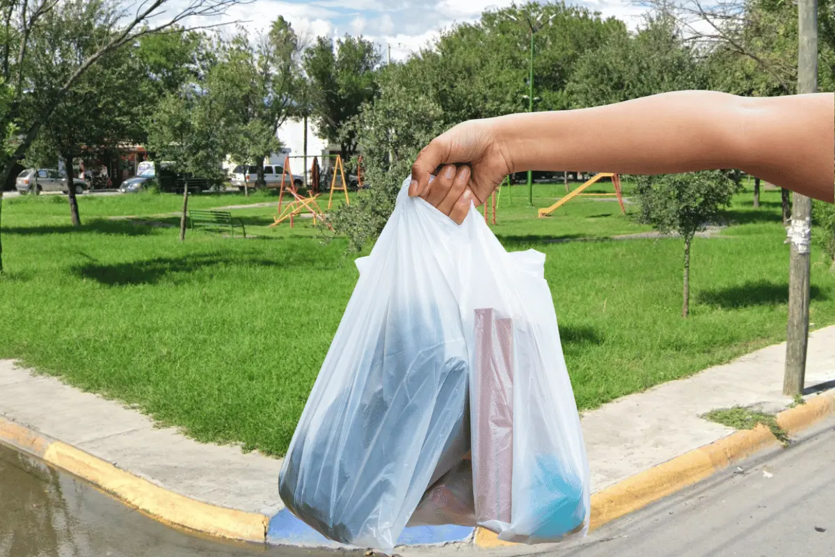 El mercadito se instala todos los miércoles en horario “de tarde”. Foto: Canva.