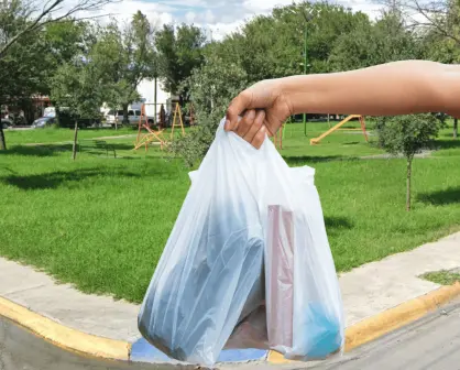 ¿Un mercadito escondido alrededor de un parque en Apodaca?