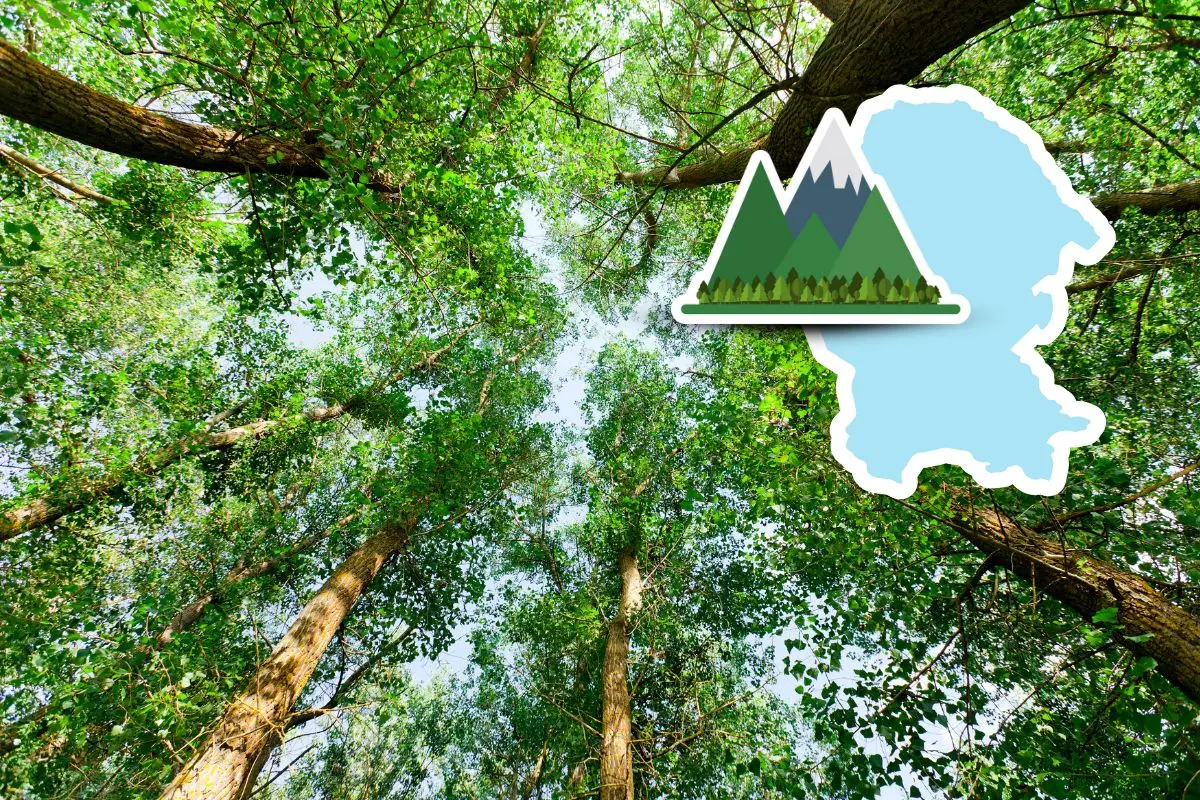 Conoce el cañón más chaparro ubicado en Coahuila / Fotos: Composición de Canva