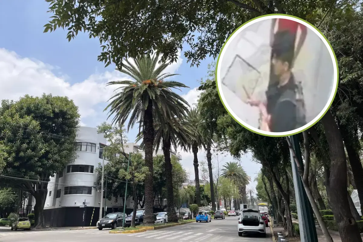 Colonia Narvarte y captura de vídeo. Canva y @QuePocaMadre_Mx | Canva