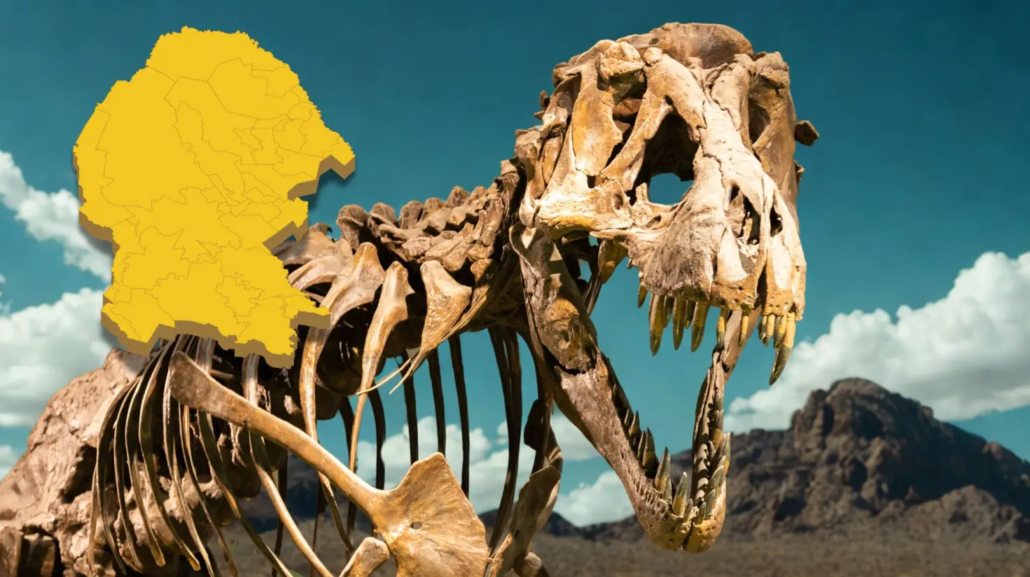 Estos fósiles de dinosaurios fueron encontrados en Coahuila. (Fotografía: Canva)