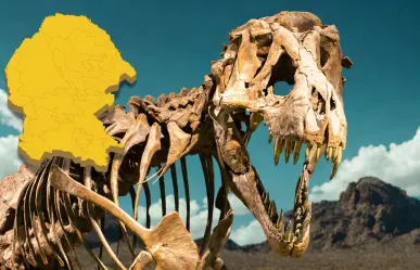 Estos son los fósiles de dinosaurios que se han encontrado en el desierto de Coahuila