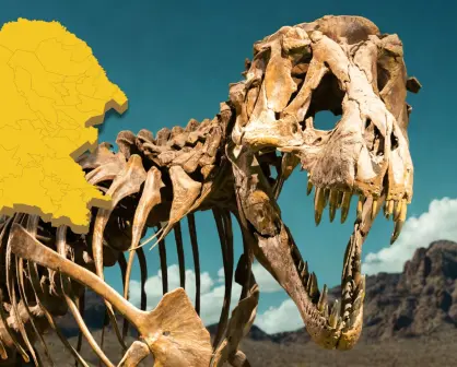 Estos son los fósiles de dinosaurios que se han encontrado en el desierto de Coahuila