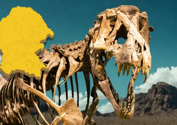 Estos son los fósiles de dinosaurios que se han encontrado en el desierto de Coahuila