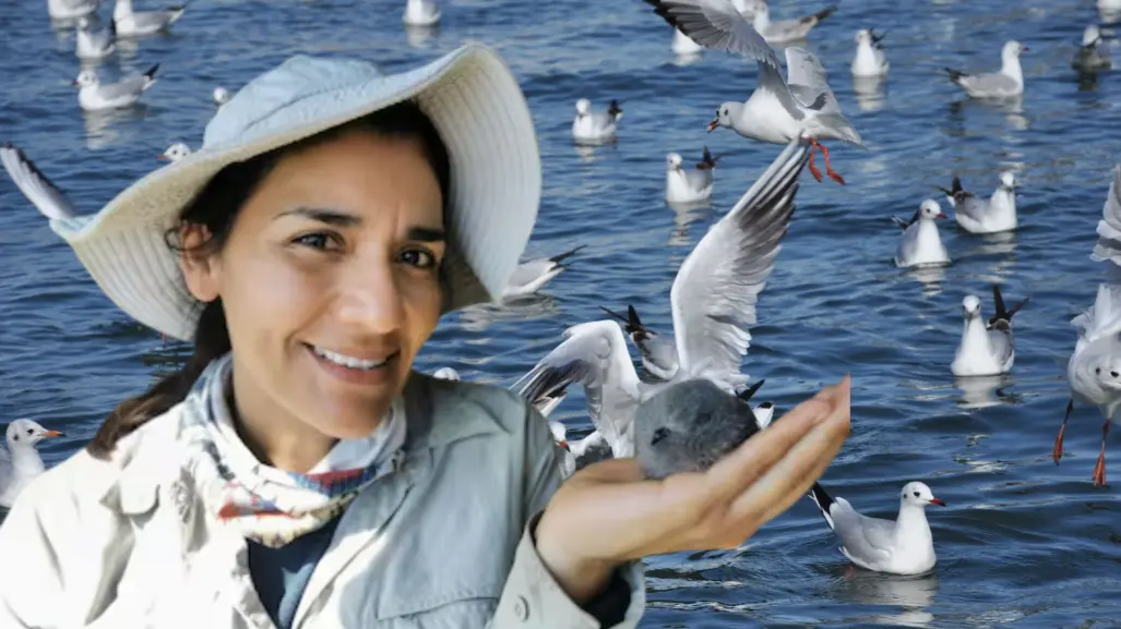 De Baja California Sur para el mundo: así protege Yuliana Bedolla las aves del Pacífico mexicano