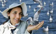 De Baja California Sur para el mundo: así protege Yuliana Bedolla las aves del Pacífico mexicano