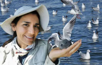 De Baja California Sur para el mundo: así protege Yuliana Bedolla las aves del Pacífico mexicano